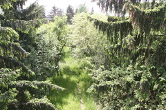 widok-nas-ogrod.jpg