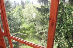 widok-z-ogrodu-zimowego.jpg