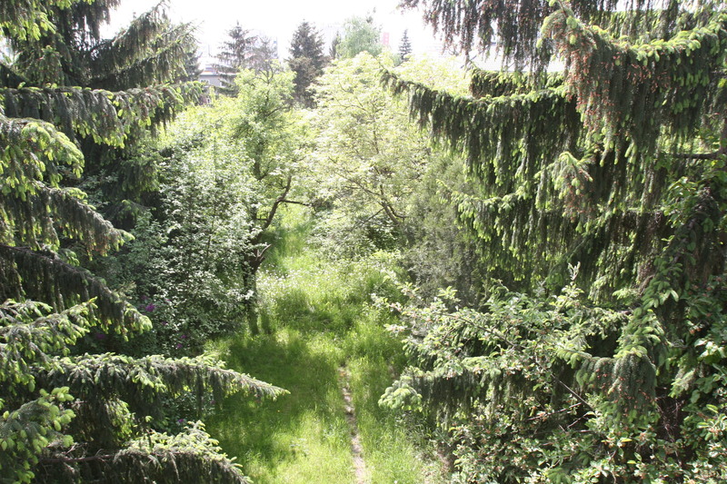 widok-nas-ogrod.jpg